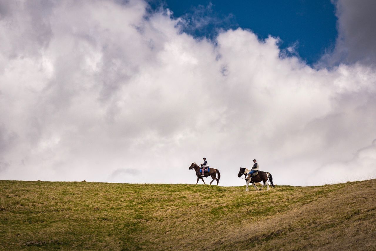 cloud - sky, sky, leisure activity, land, real people, men, activity, field, two people, ride, riding, grass, nature, togetherness, lifestyles, mammal, horse, people, outdoors