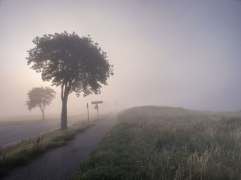 Trees on field against sky during foggy weather