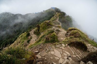 fog