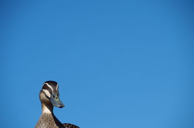 Low angle view of statue against clear blue sky