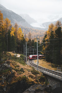 transportation