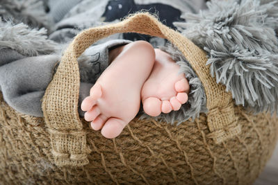Low section of baby resting in basket