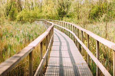 Wooden footbridge in forest