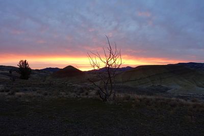Scenic view of field against sky during sunset
