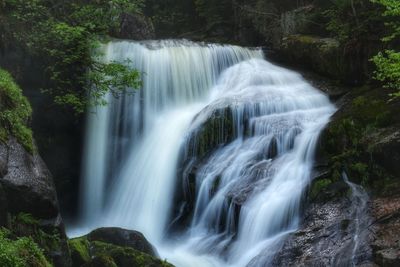 Scenic view of waterfall in forest