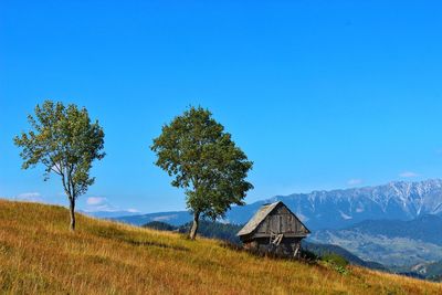 Scenic view of field against blue sky