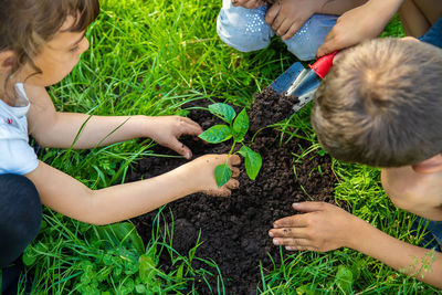 High angle view of boy planting outdoors