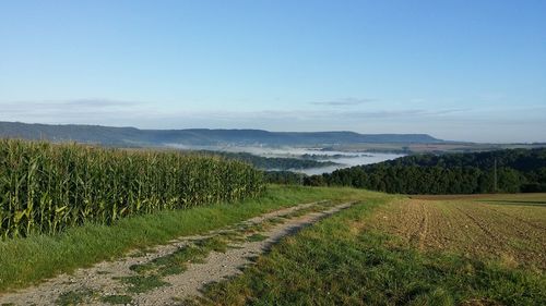 Scenic view of landscape against clear sky