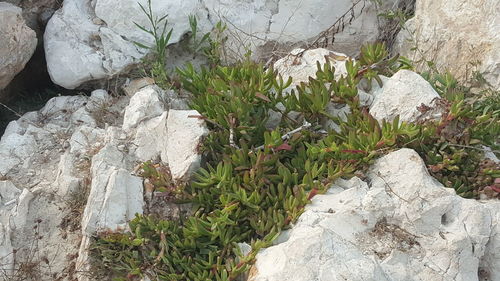 High angle view of rock formations