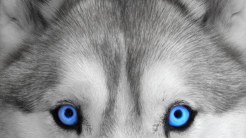 Full frame shot of eye