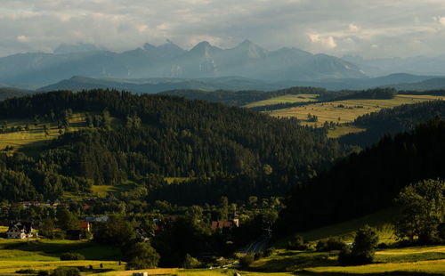 Panorama of the tatra mountains from sromowce wyzne. pieniny national park. poland	