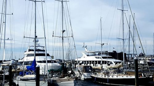 Sailboats moored at harbor