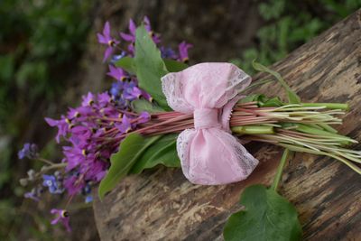 Close-up of pink flowering plant