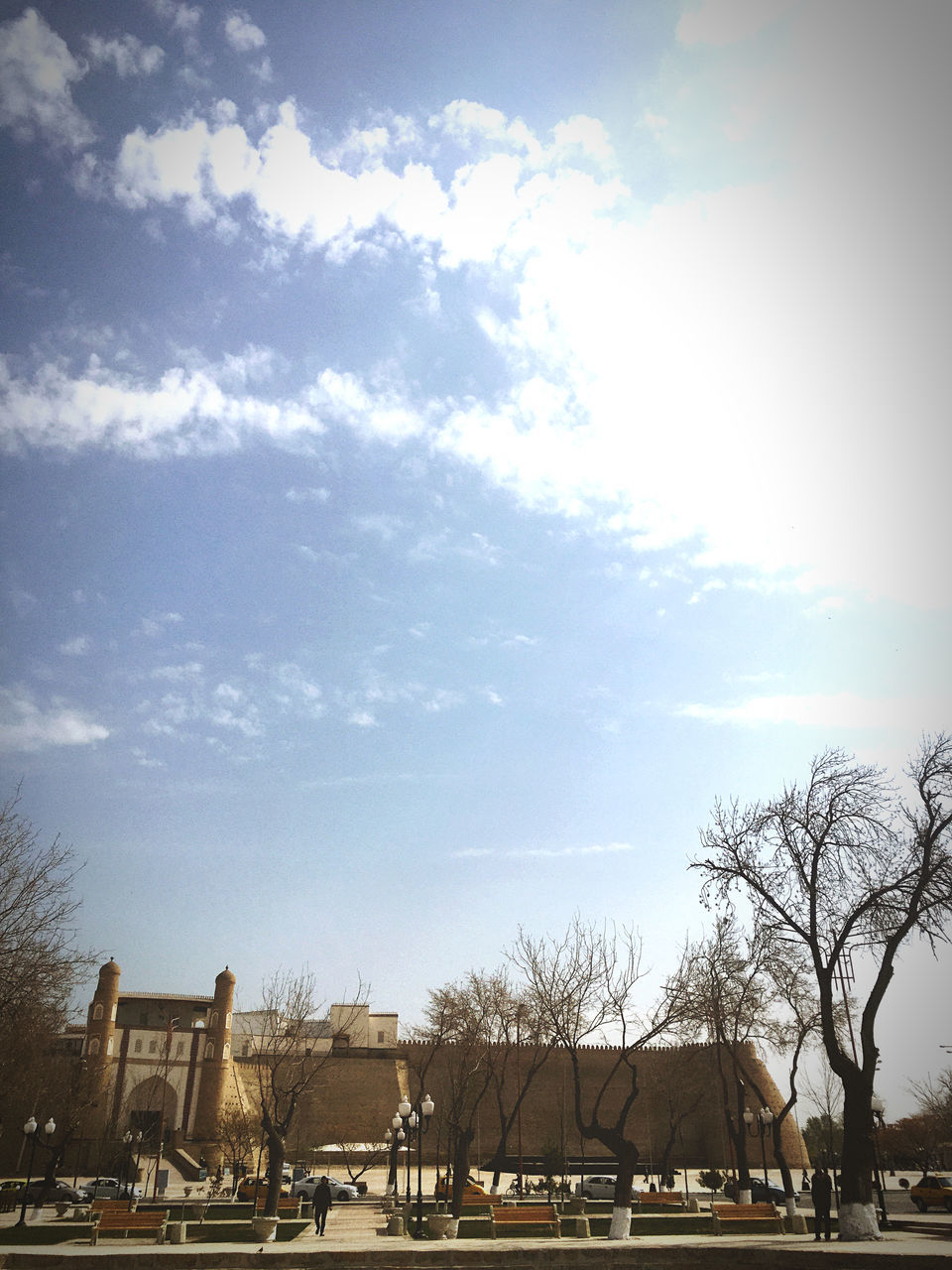 HOUSES BY BARE TREES AGAINST SKY