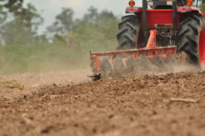 Man working at farm