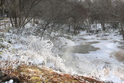 Scenic view of river in forest during winter