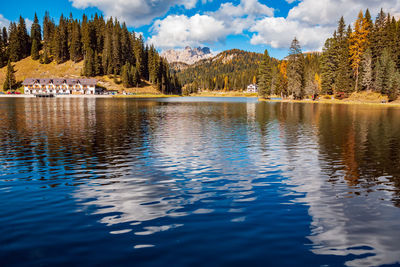 Scenic view of lake in forest against sky