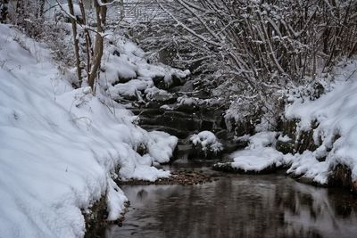 Snow covered stream amidst trees during winter