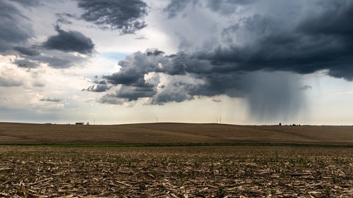 Scenic view of field against sky