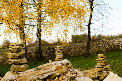 View of rocks in park during autumn