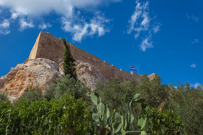 Acropolis walls of athens viewed from below with foreground trees and prickly pears, greece