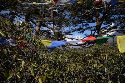 Plants growing on field