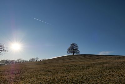 Scenic view of landscape against blue sky