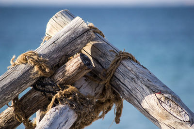 Close-up of wood against sky