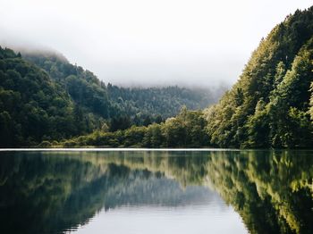 Trees reflecting in river against sky