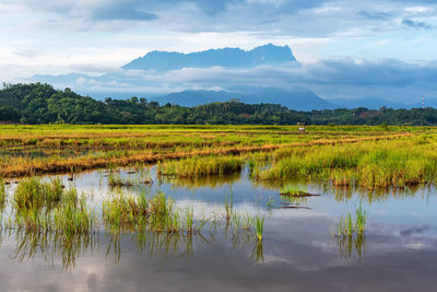 Scenic view of lake against sky