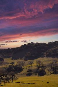 Scenic view of landscape against sky during sunset