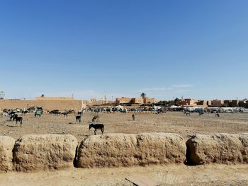 Panoramic view of people on field against clear sky