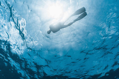 Freediver close to the surface on the great barrier reef