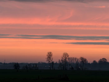 Silhouette trees against dramatic sky during sunset