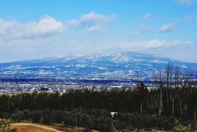 Scenic view of landscape against sky