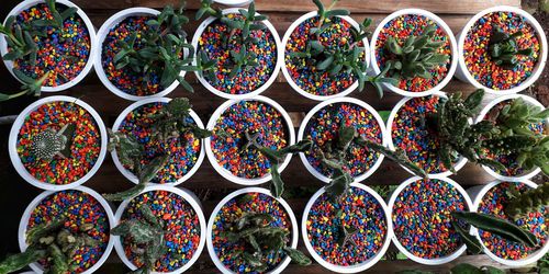 Full frame shot of potted plants for sale