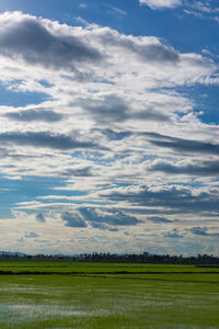 Scenic view of field against sky