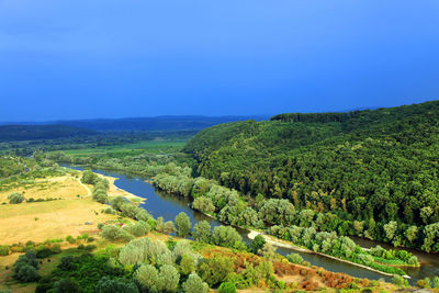 Scenic view of lake in forest against clear blue sky