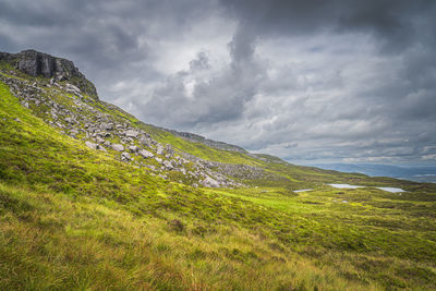 Scenic view of grassy field against sky