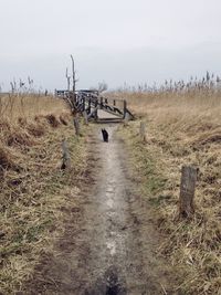 Scenic view of land against sky