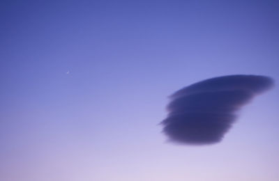 Low angle view of feather against blue sky