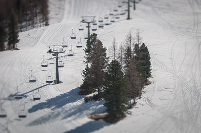 Snow covered land and trees on field