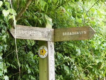 Close-up of information sign on plants