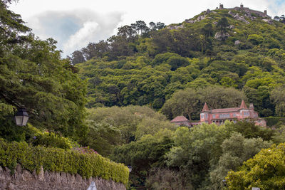 Hill with house and trees in sintra, portugal