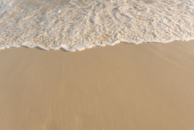 High angle view of sand dune on beach