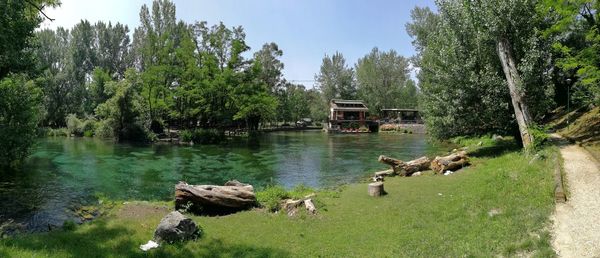 Scenic view of lake and trees