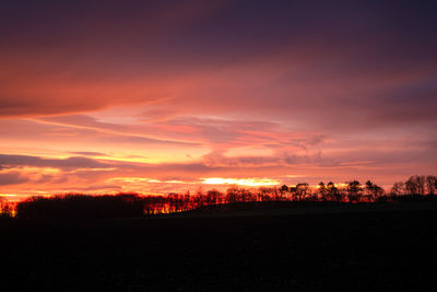 Silhouette trees on field against dramatic sky during sunset