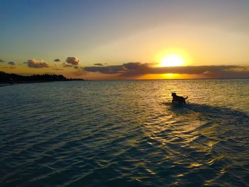 Scenic view of sea at sunset