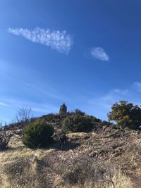 Plants growing on land against blue sky