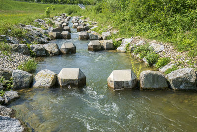 Stone wall by river and plants